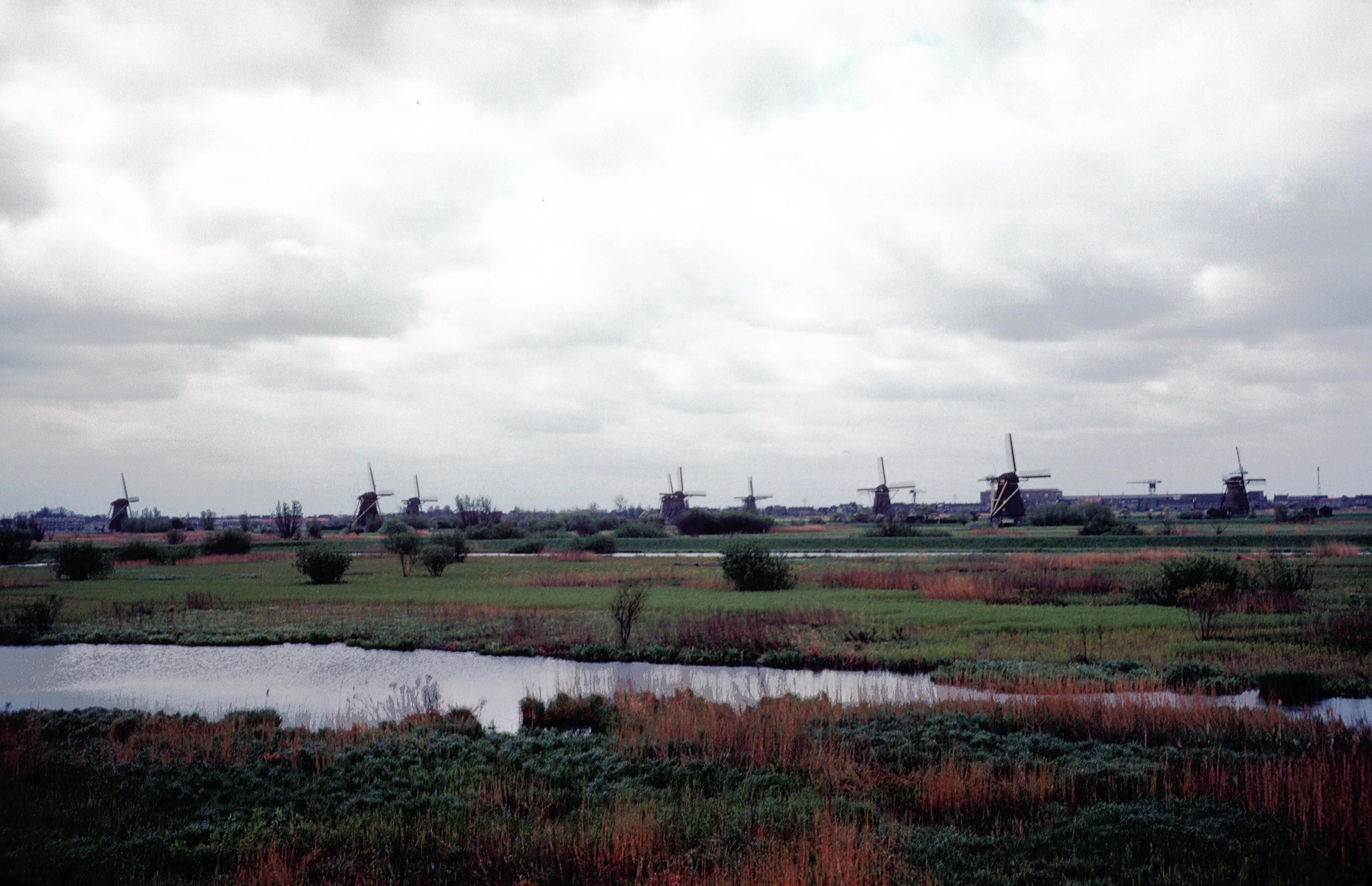 Windmills galore