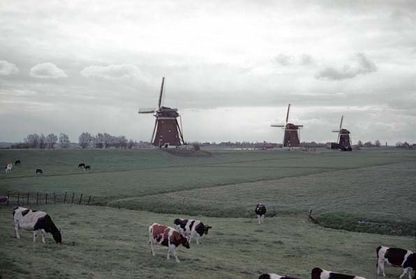 windmills on the plain