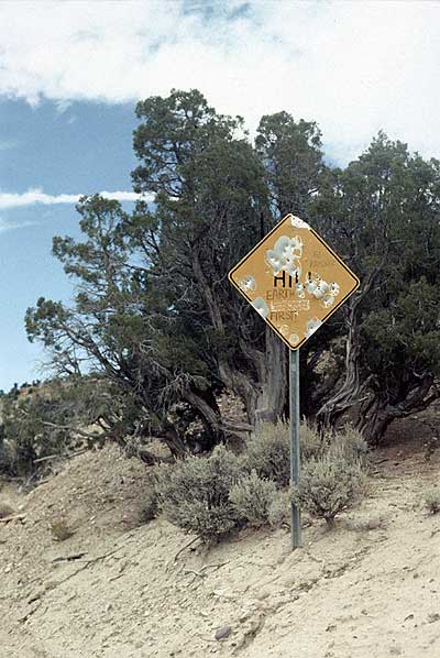 sign of wildlife