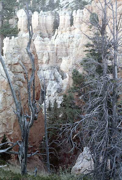 bryce canyon