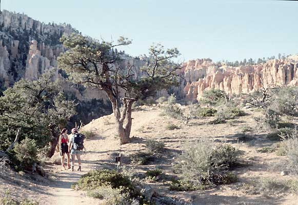 hiking into the canyon