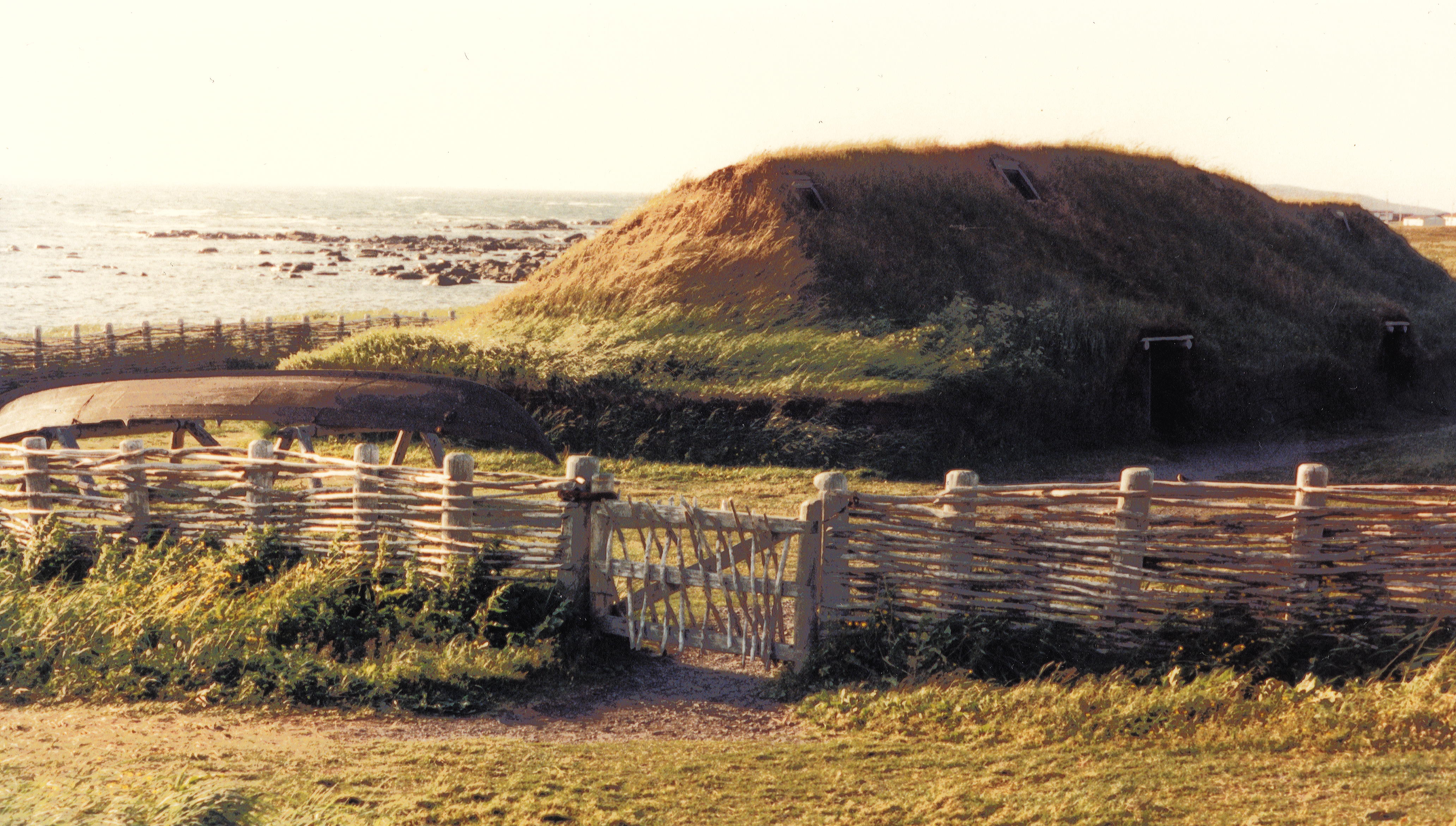 Viking settlement at L'Anse aux Meadows