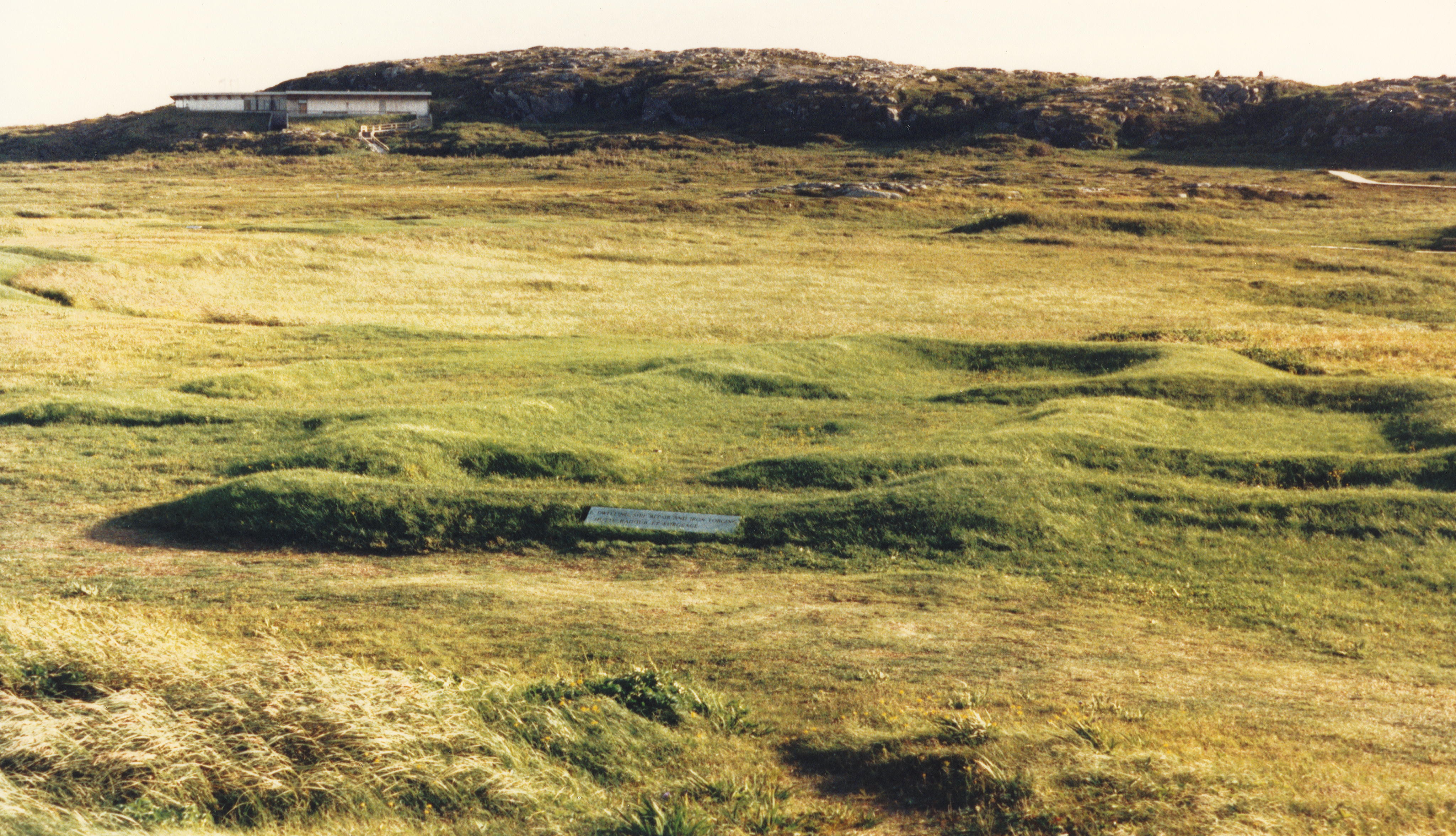 Viking settlement at L'Anse aux Meadows