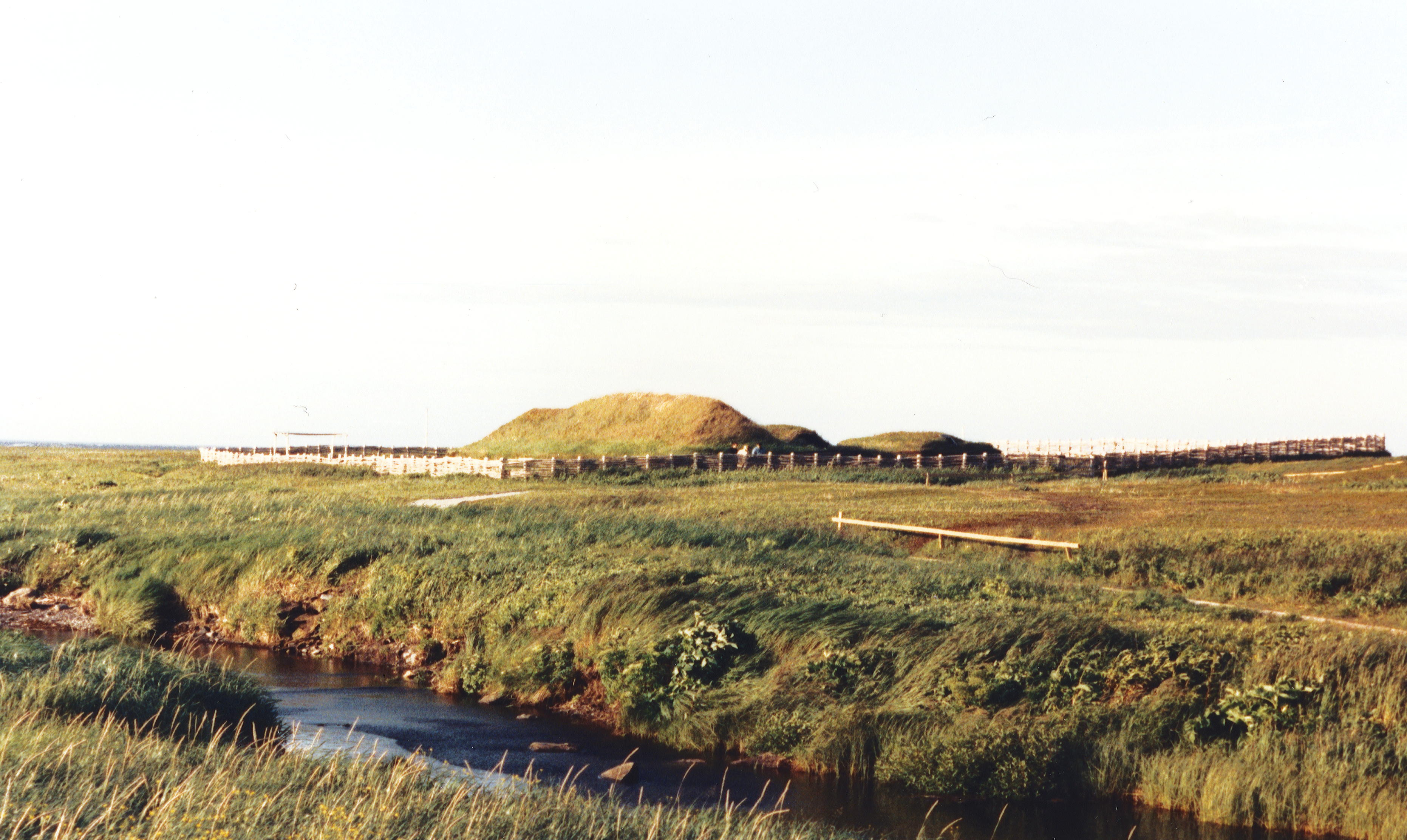 Viking settlement at L'Anse aux Meadows