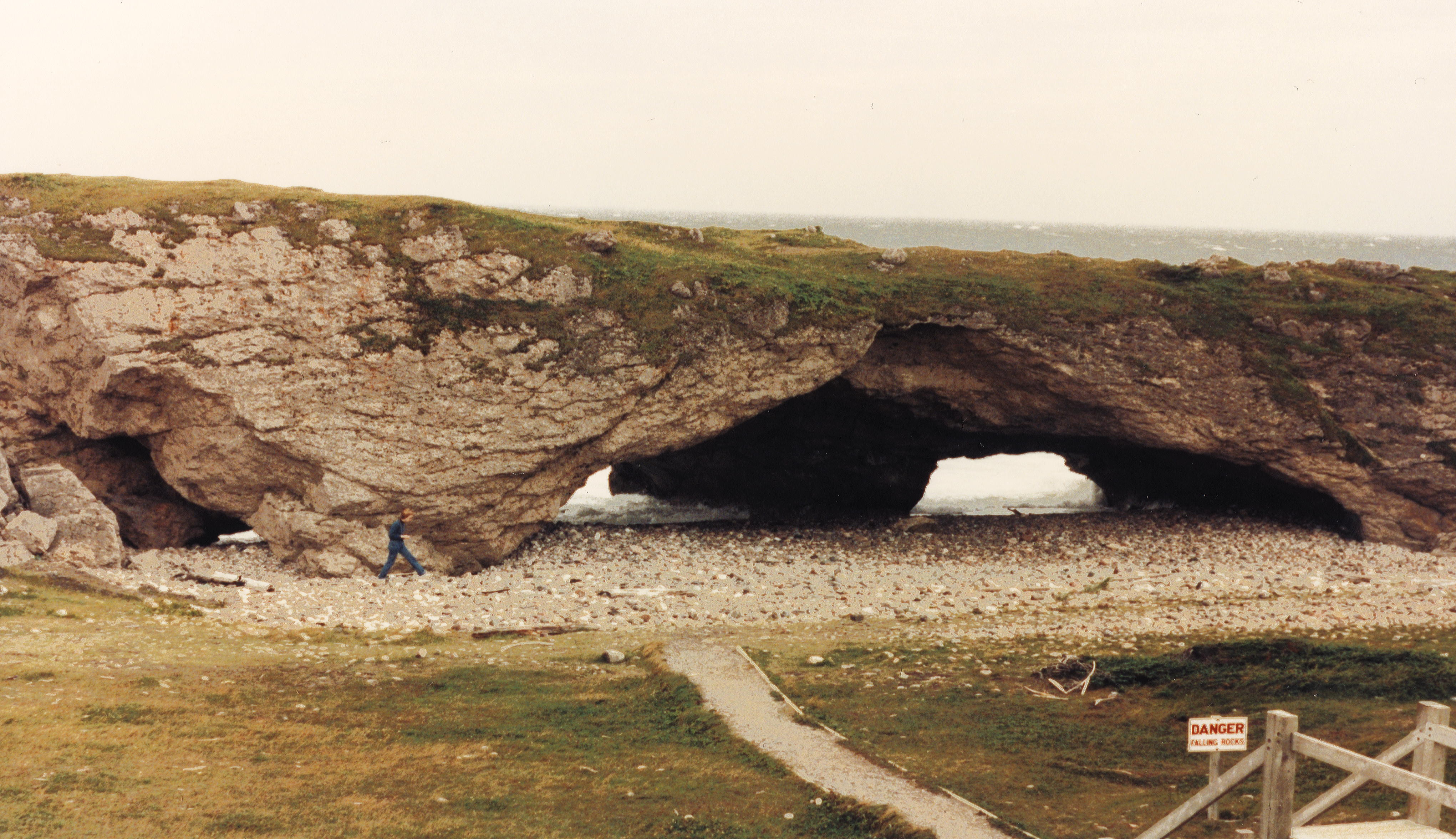 Rugged seashore