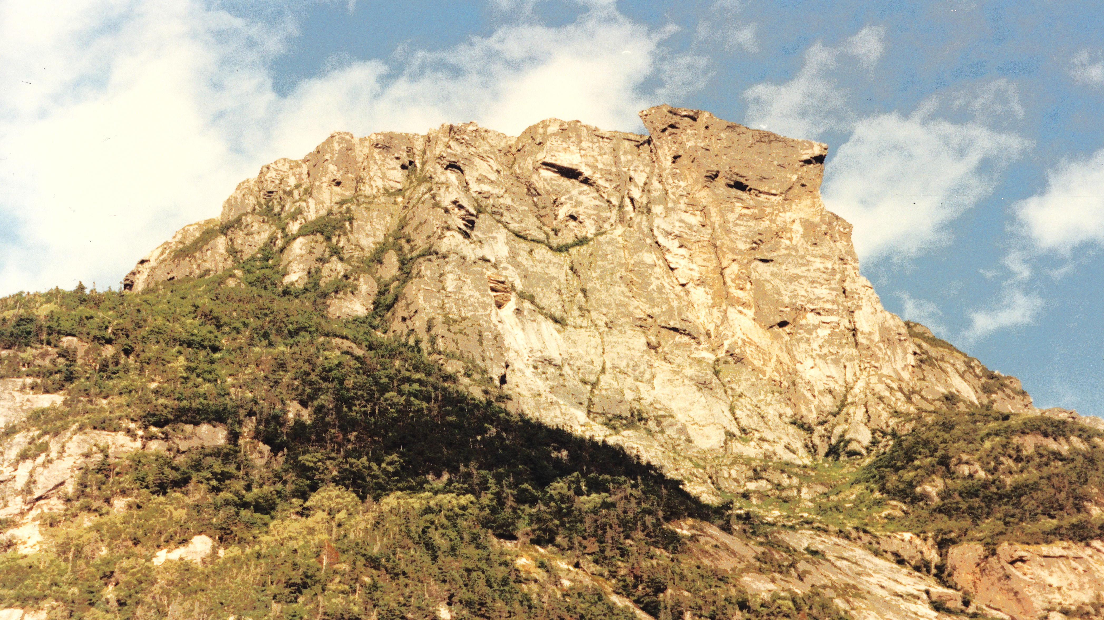 Gros Morne fjord