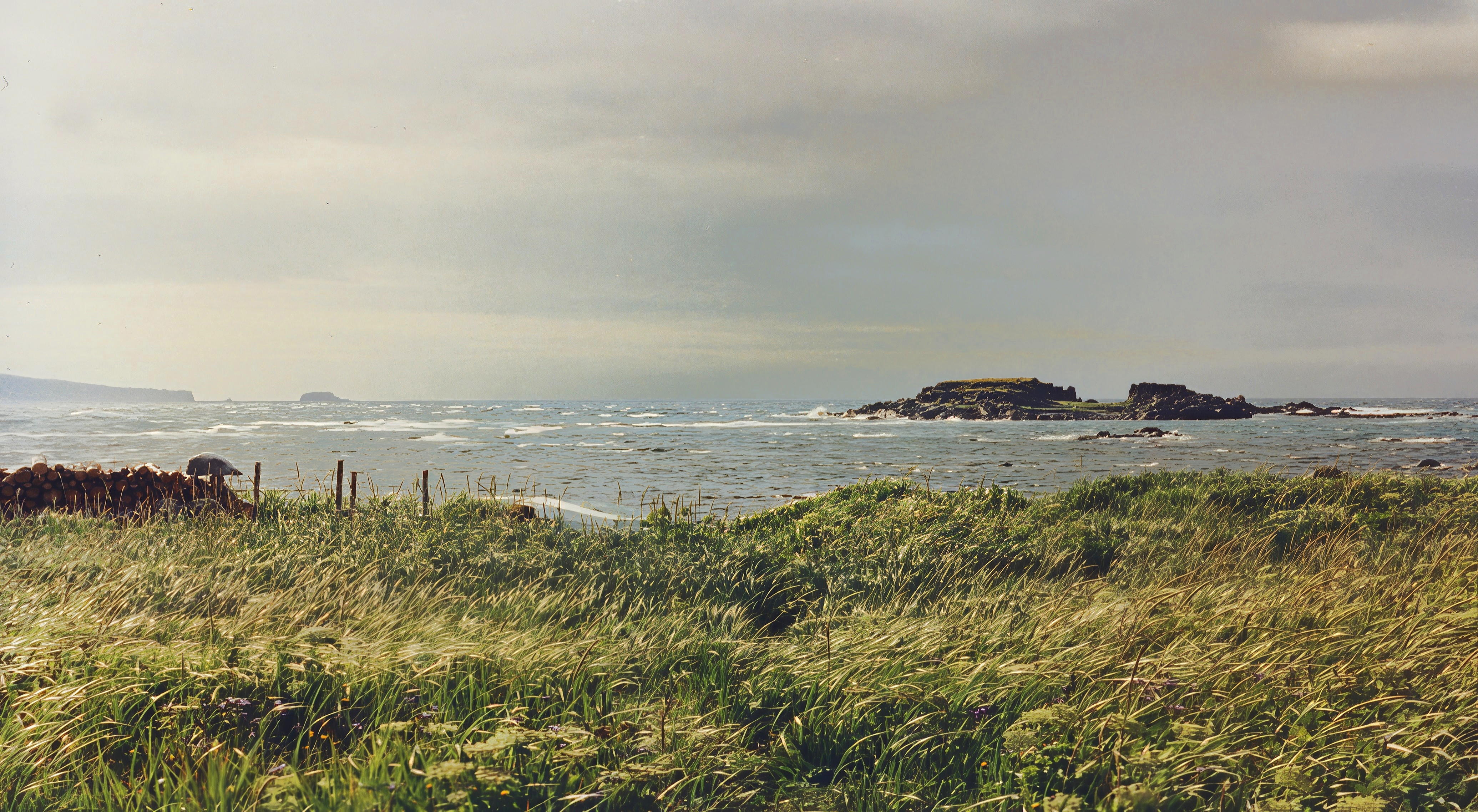 Rugged seashore