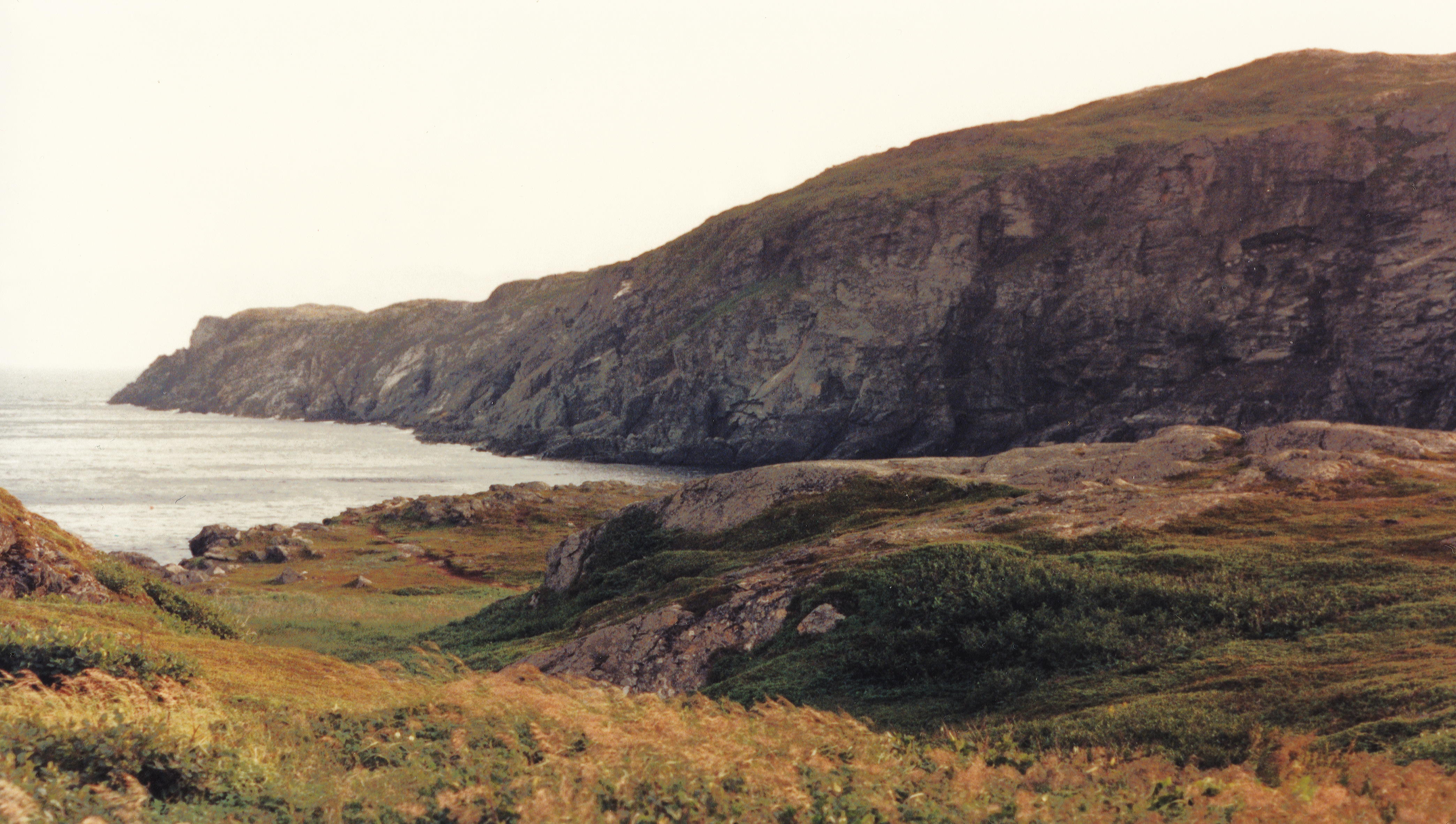 Rugged seashore