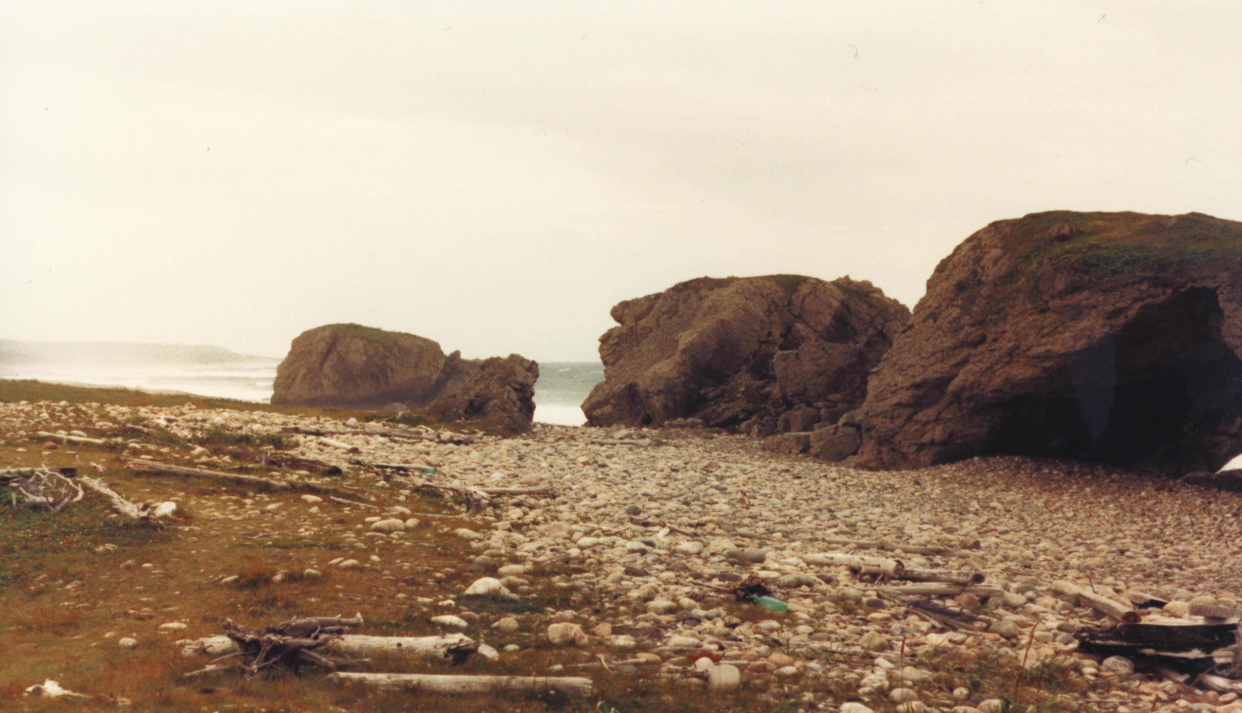 Rugged seashore