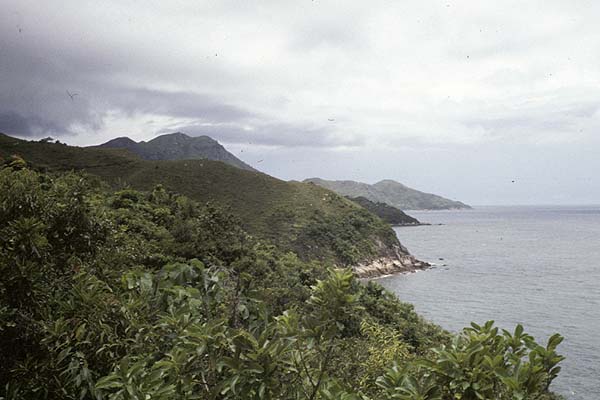 coastal view