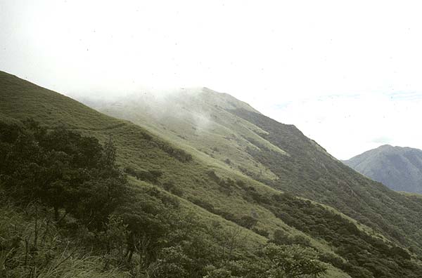 nearing the main peak