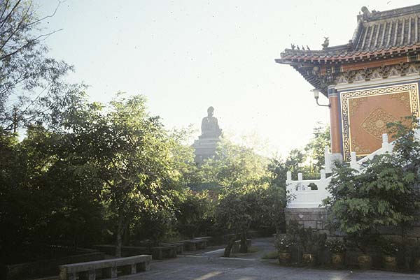 temple of the giant buddha