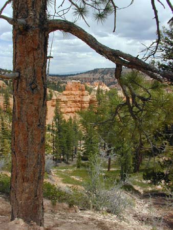 glimpse of bryce canyon