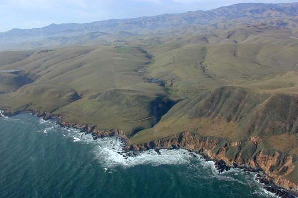 coastal plain