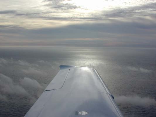 sunset on the wing