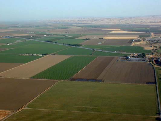 central valley farmland