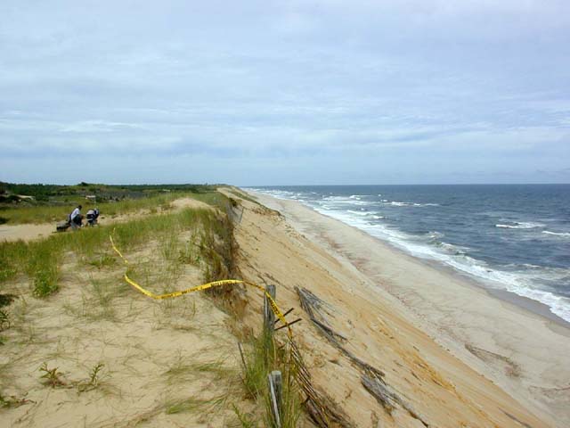 view north from Marconi Station