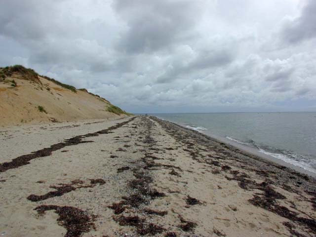 beach on the bay side