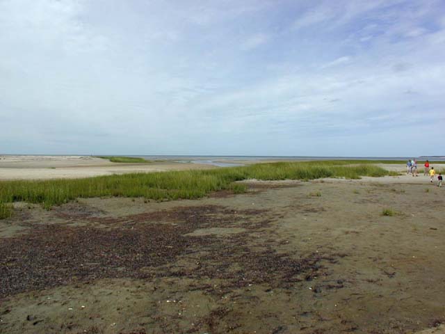 tidal flats