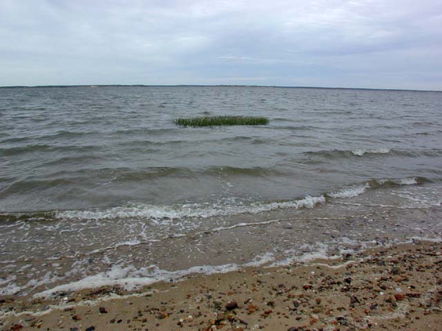 is the tide coming in or going out??