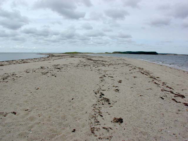 out on the tidal beach, looking back to the mainland