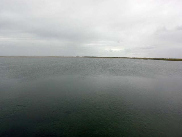 a view across the bay to the point -- let's walk there tomorrow!