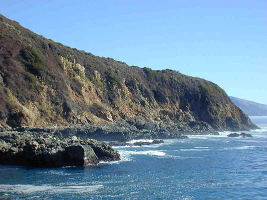 big sur cove