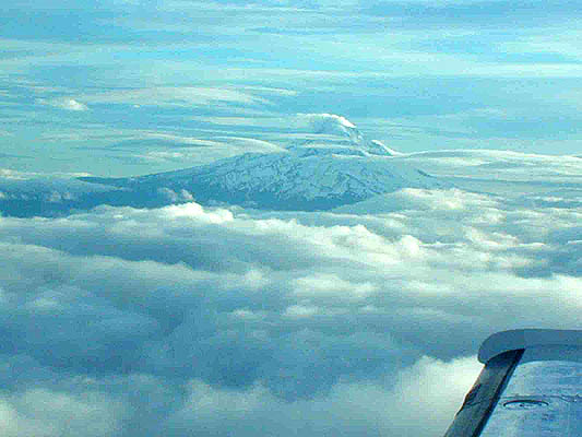 mount hood