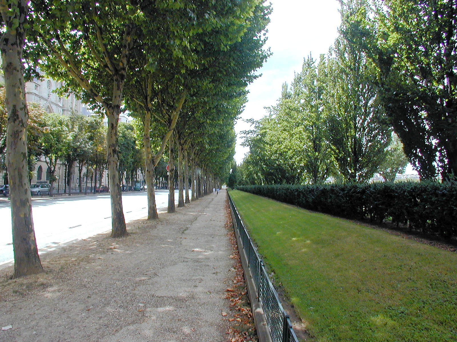 Tree-lined riverside park