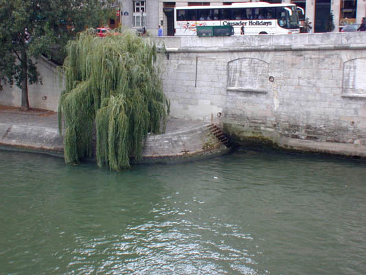 down the embankment