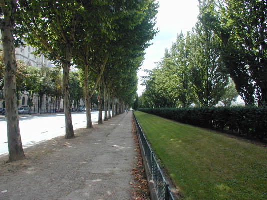 tree-lined riverside park