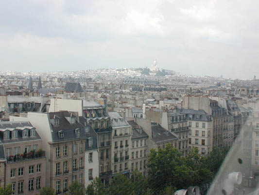 the rooftops of paris with sacre coeur in the distance