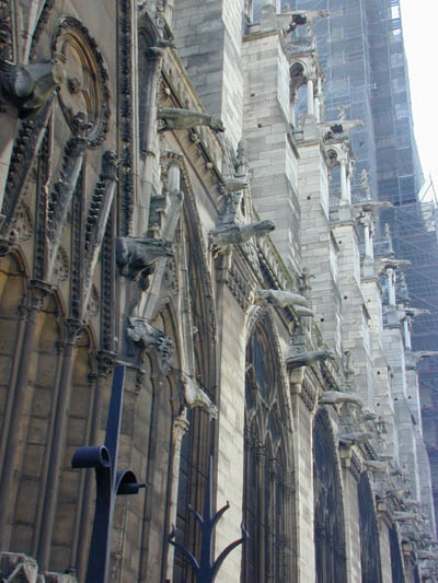 a closer look at the gargoyles