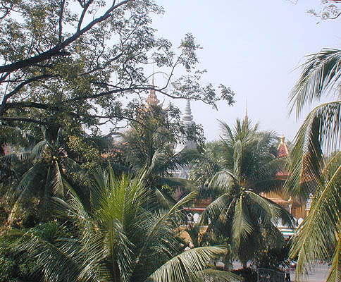 view of the roofs of the royal palace from my window at the renakse hotel