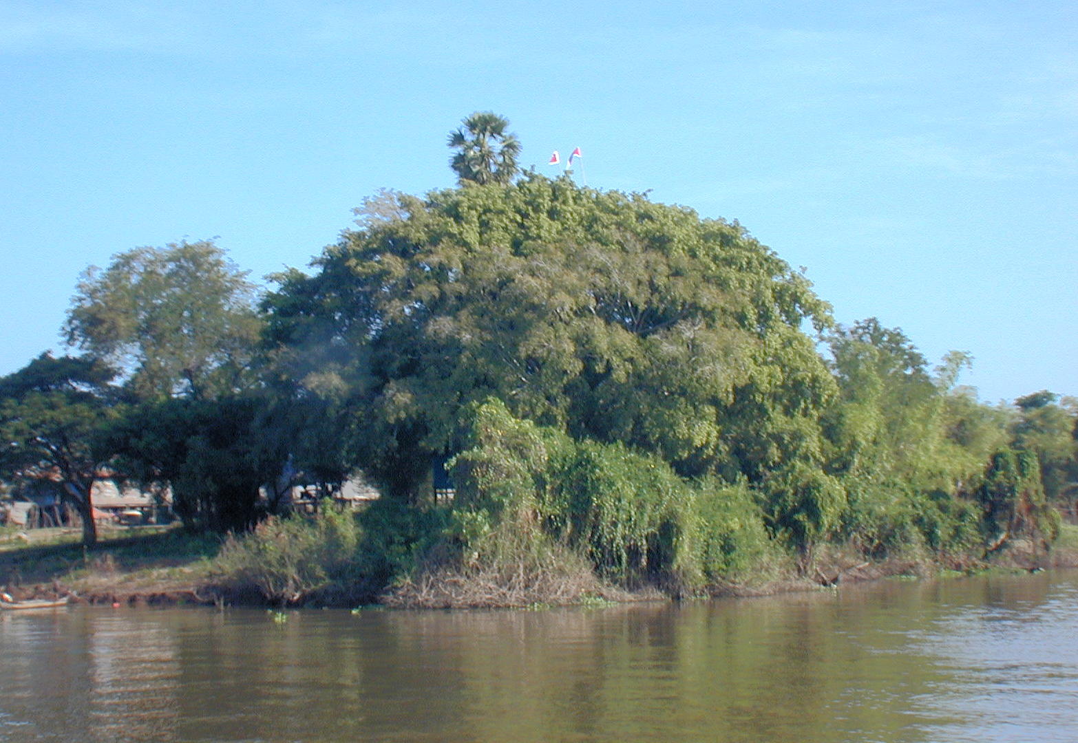 Fork in the river