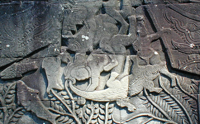 an alligator and its dinner (bayon)