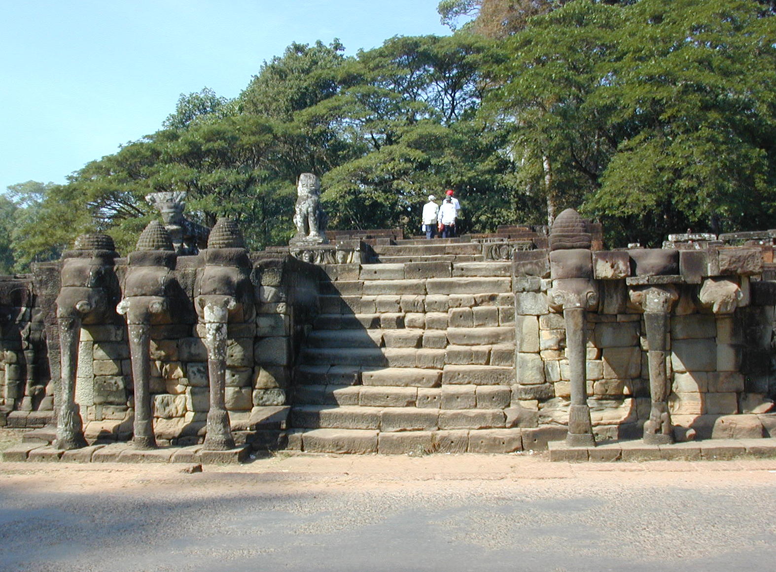 Elephant terrace