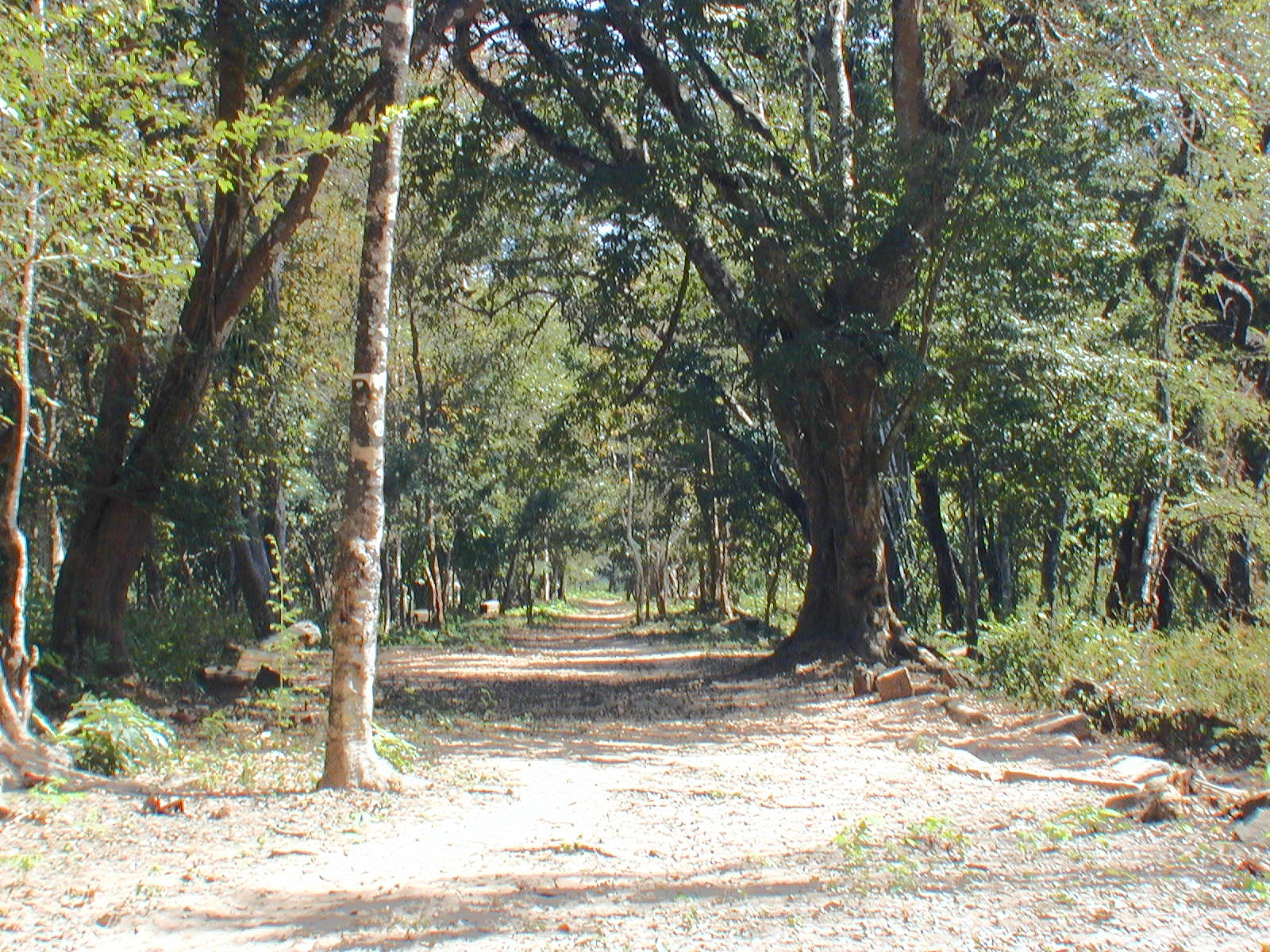 Much of the drive to Beng Mealea is unpaved