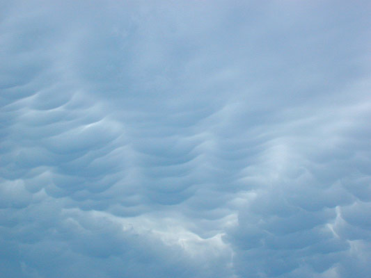 mammatus clouds