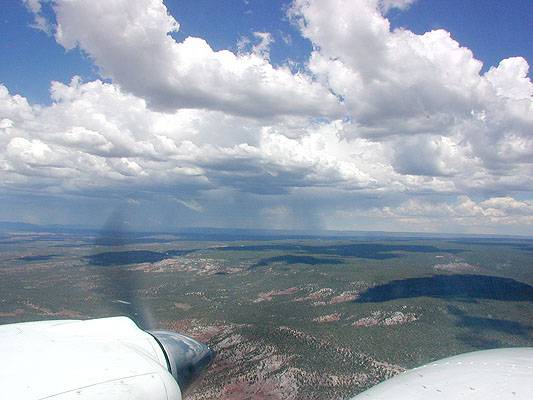 racing desert showers