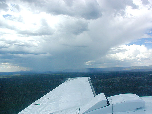 racing desert showers