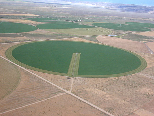 greening the desert