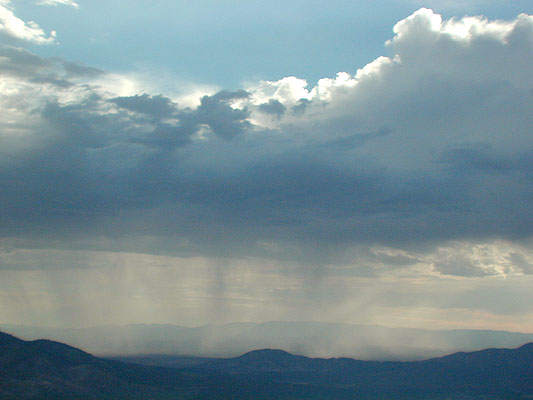 desert rain