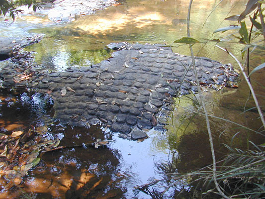 this strange cobblestone pattern is everywhere