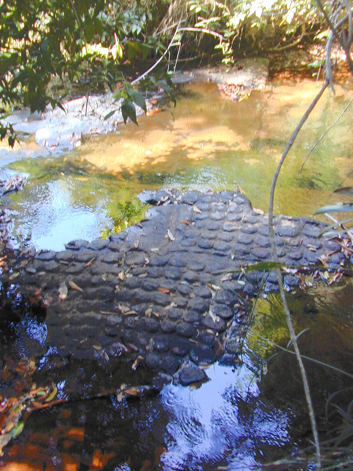 strange cobblestone pattern