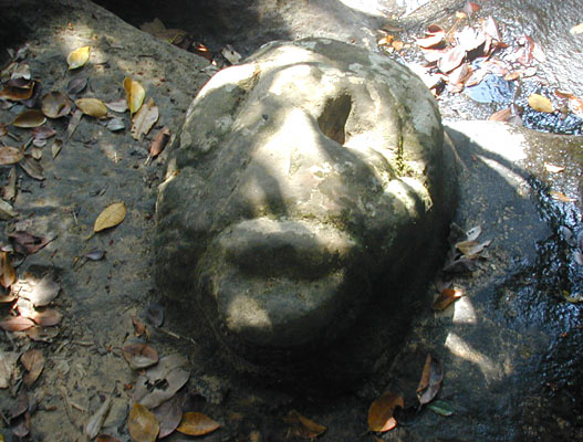 stone frog