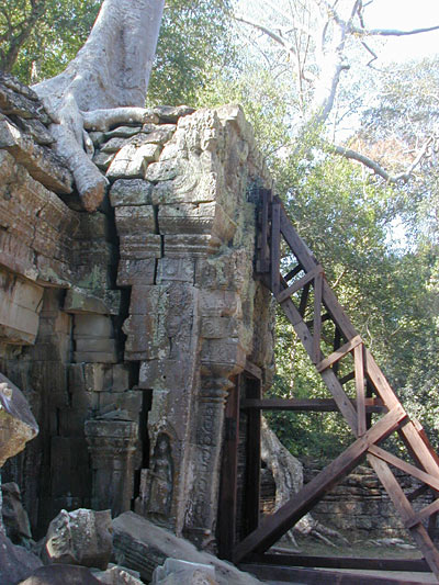 the trees of ta prohm are slowly pulling the stones apart