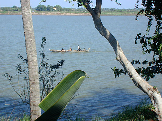 the fishing boats arrive early