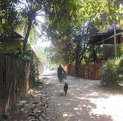 a shady lane on the outskirts of phnom penh