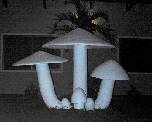 I'm not sure why there was a giant mushroom outside our hotel window